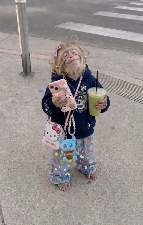 Born to Be Lil Monkey — Lili